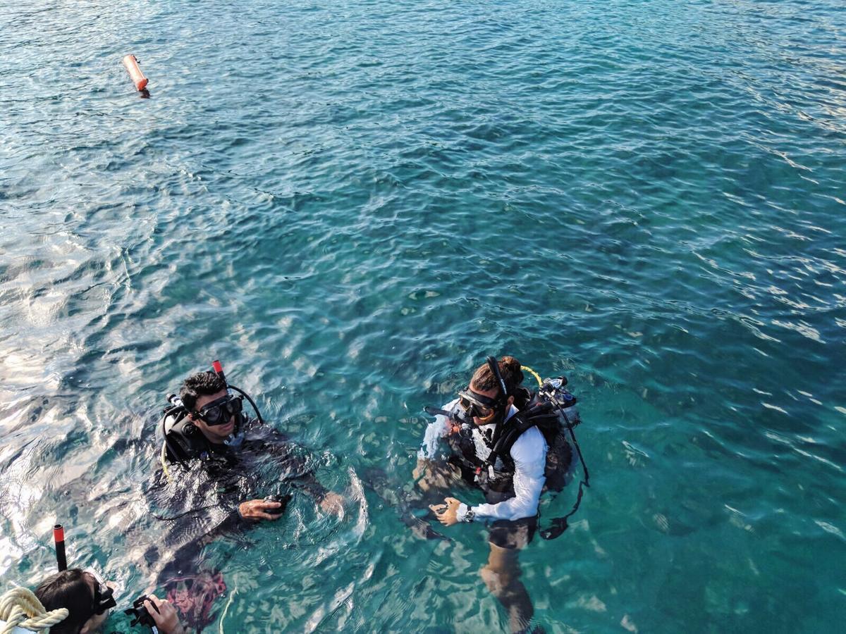 Quiver Dive Team Perhentian Dorm Pulau Perhentian Kecil Exteriör bild